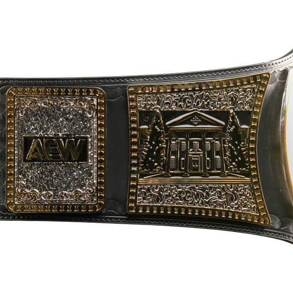 AEW TNT CHAMPIONSHIP BLACK REPLICA TITLE CHAMPIONSHIP BELT