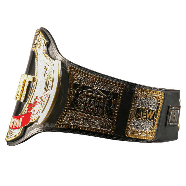 AEW TNT CHAMPIONSHIP BLACK REPLICA TITLE CHAMPIONSHIP BELT