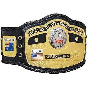 World Heavyweight Wrestling Belt Championship Replica Title Belt